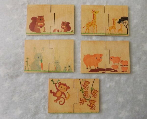 Juego de Asociación x10 piezas