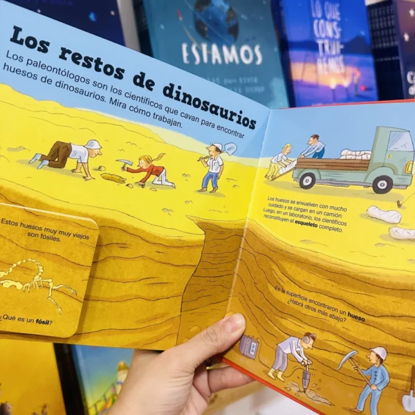 Los dinosaurios - Pequeños curiosos - Image 3