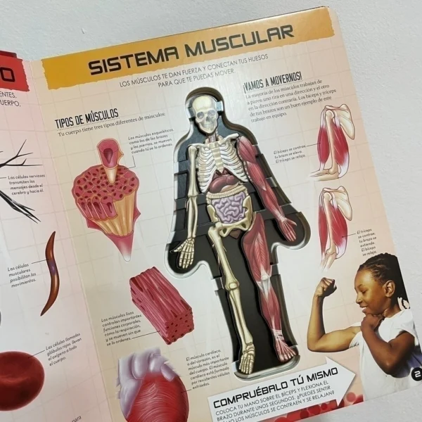 Miremos dentro del Cuerpo Humano - Image 2