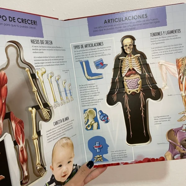 Miremos dentro del Cuerpo Humano - Image 3