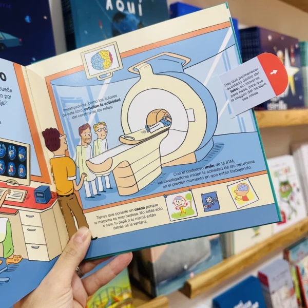 Conoce tu cerebro - Pequeños curiosos - Image 2