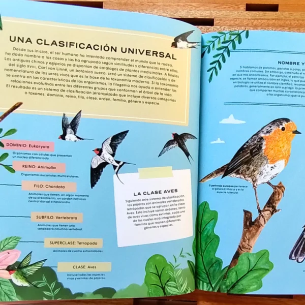 Pájaros, Vida secreta - Image 2