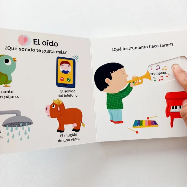 Mi libro de los 5 sentidos - Pequeños curiosos - Image 2