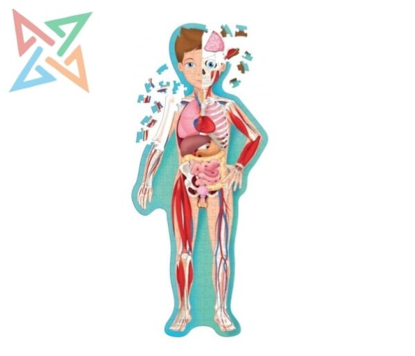 El cuerpo humano - Viaja, Conoce, Explora - Image 2