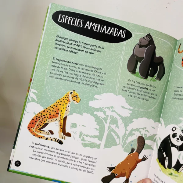 Qué, cómo, por qué: La Tierra - Image 3