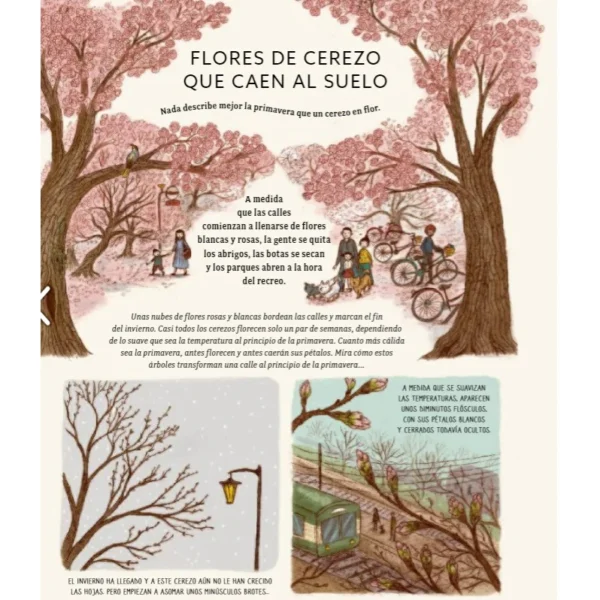 Con calma - Image 4