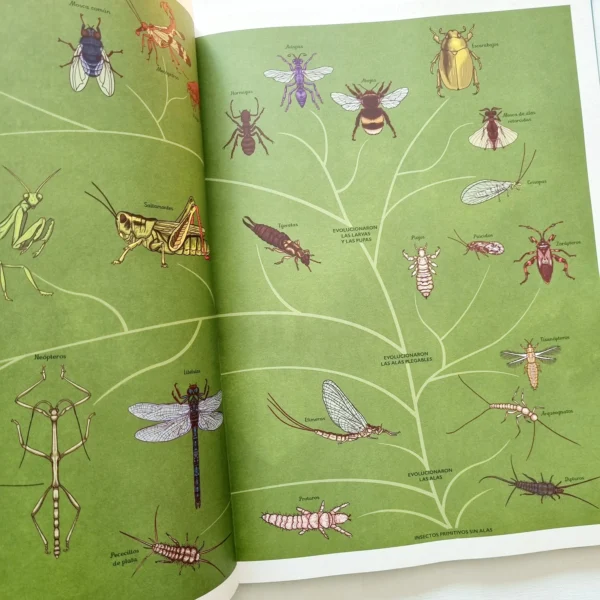Insectarium - Image 3