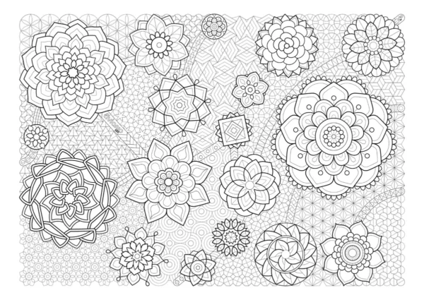 Lonita de Mandalas - Image 2